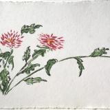 Garden Dahlias 20x28 (available)