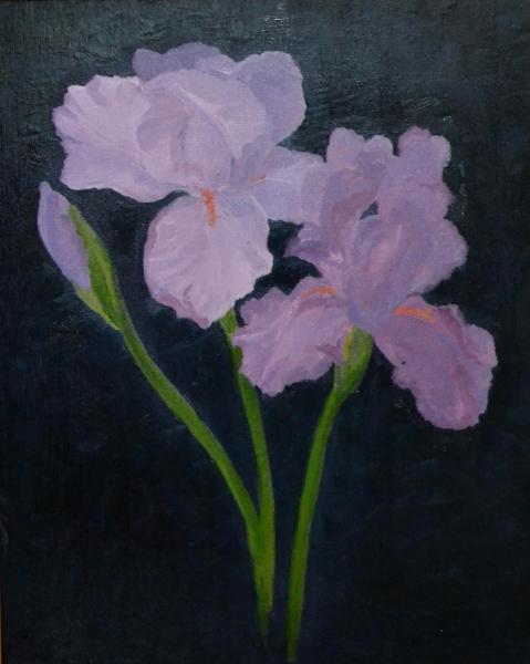 Purple Irises 20"x16" (private collection)