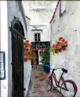 the Red Bike (Spain)   20x16 (private collection)