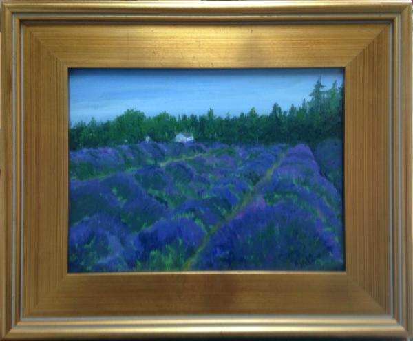 *Lavender Field: Sequim, Olympia Peninsula, WA. (sold)
