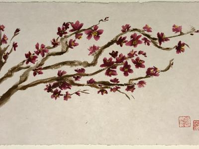 Blossom Branch 20x28 (sold) Blossom Branch 20x28 (sold)