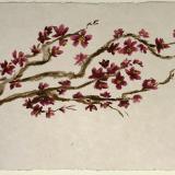Blossom Branch 20x28 (private collection)