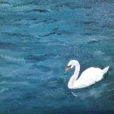 *Singular Beauty, Swan (Lake Lucerne, Switzerland) 